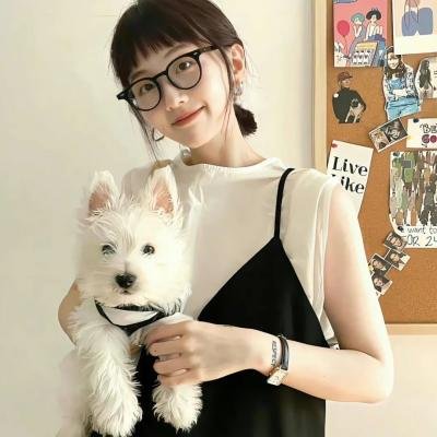 麻烦终结者